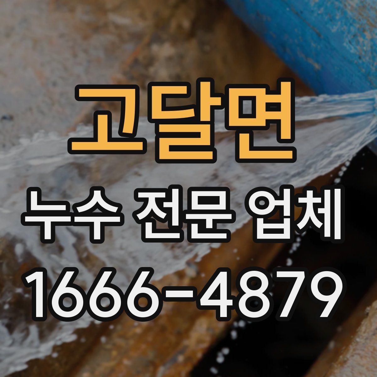 고달면 누수 전문 업체