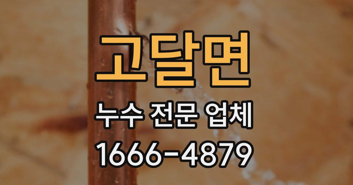 고달면 누수 전문 업체