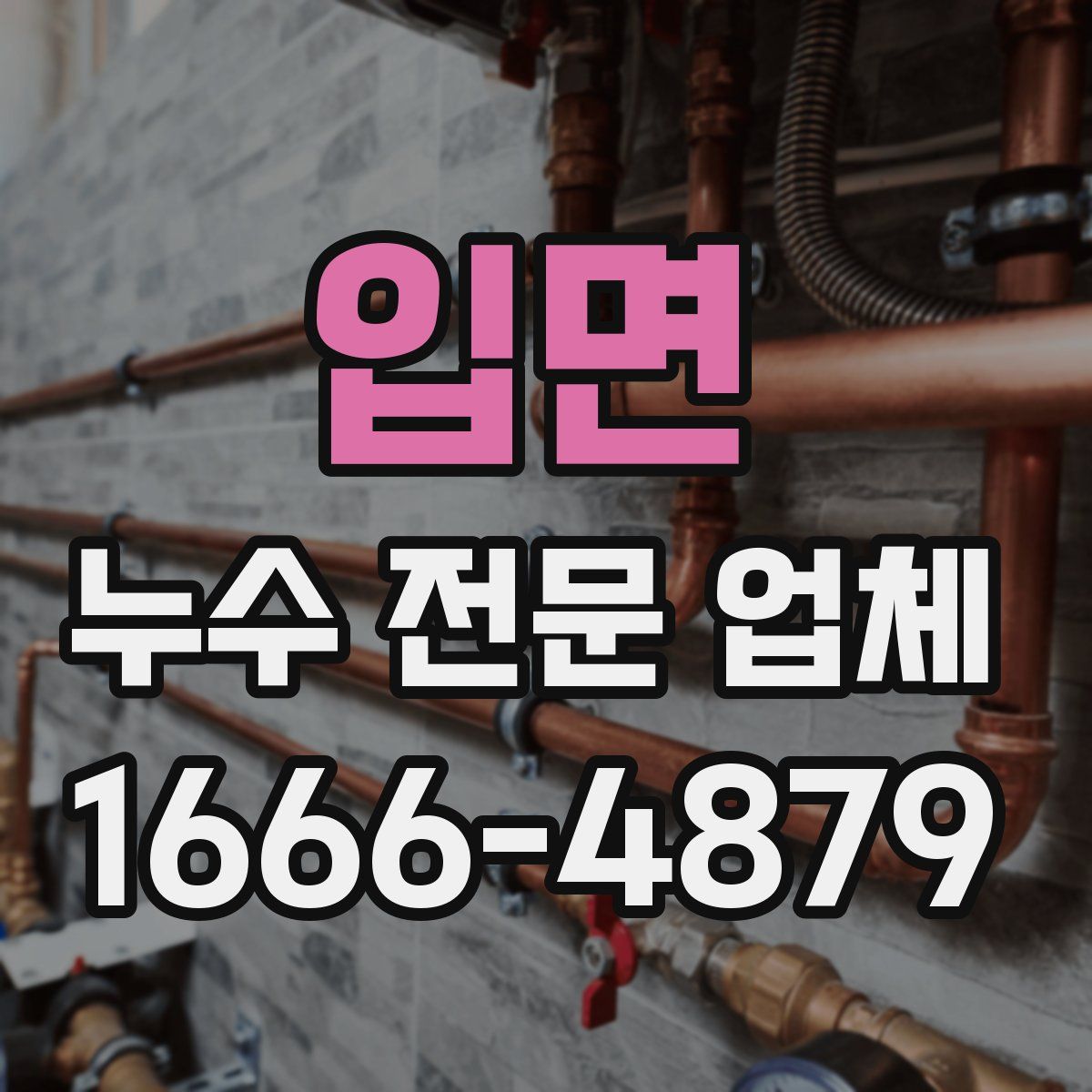 입면 누수 전문 업체