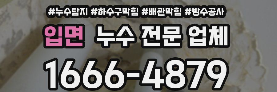 입면 누수 전문 업체