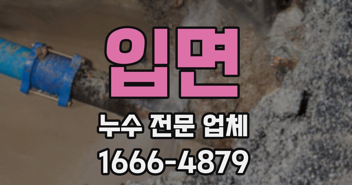 입면 누수 전문 업체