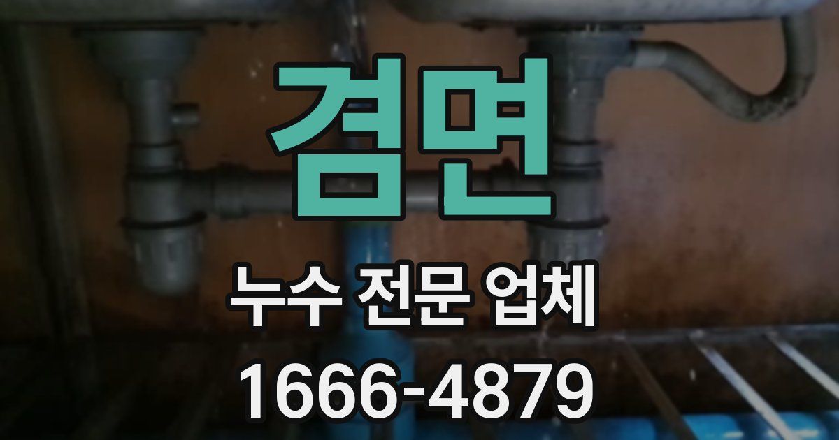 겸면 누수 전문 업체