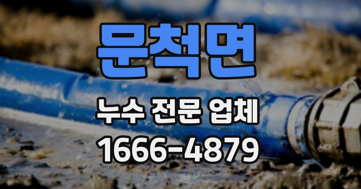 문척면 누수 전문 업체