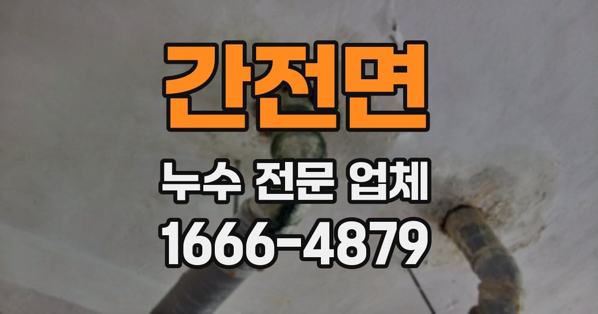 간전면 누수 전문 업체