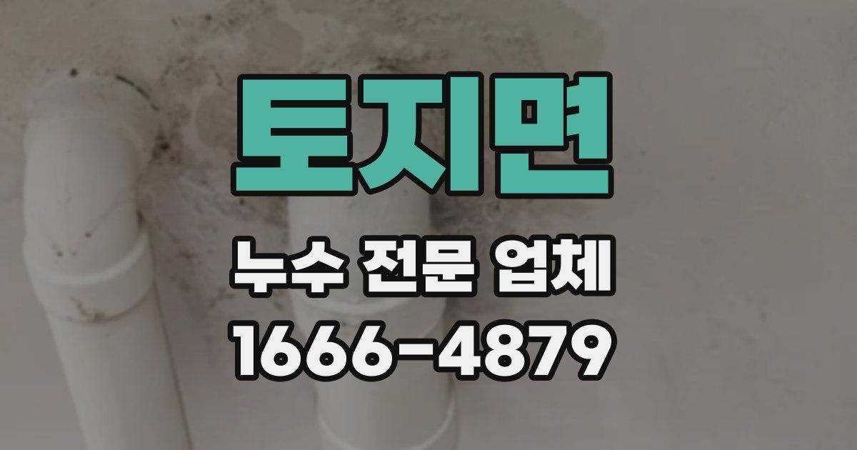 토지면 누수 전문 업체