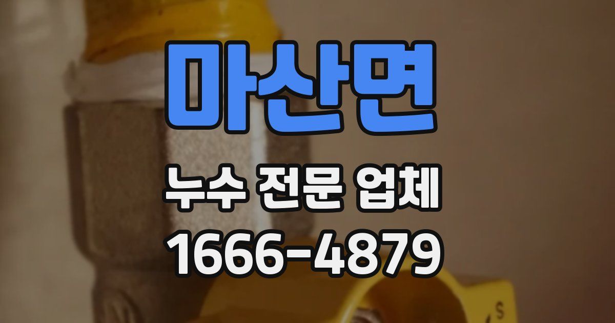 마산면 누수 전문 업체