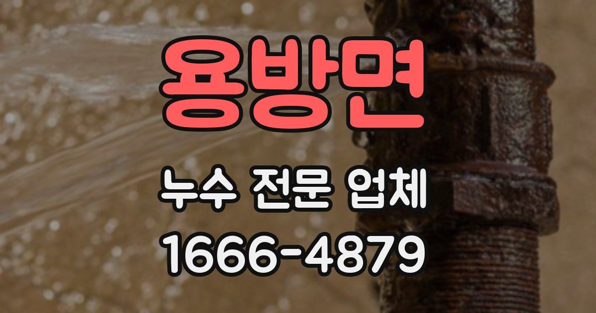 용방면 누수 전문 업체