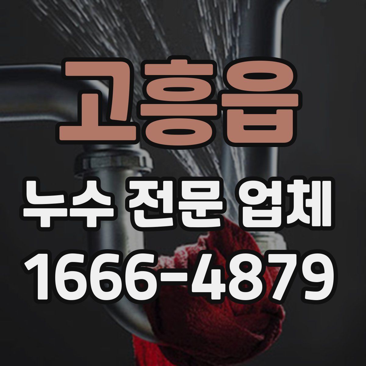 고흥읍 누수 전문 업체