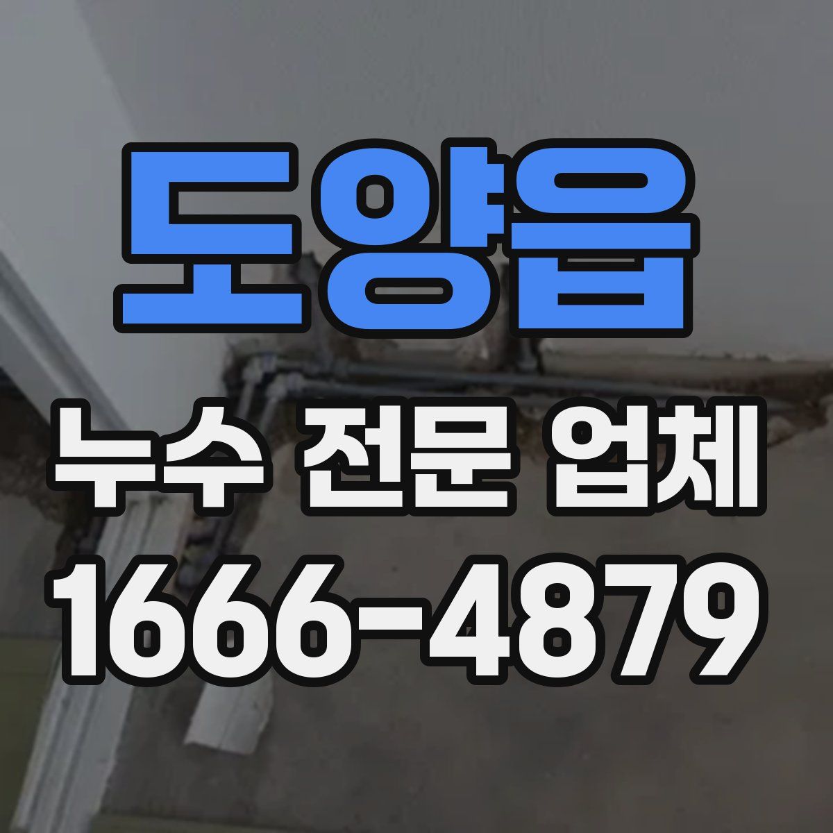 도양읍 누수 전문 업체