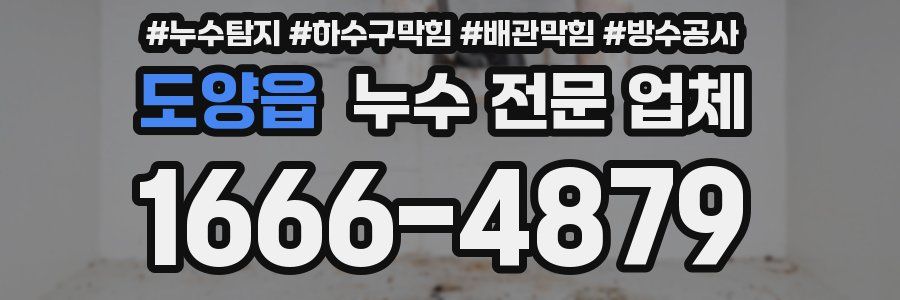 도양읍 누수 전문 업체