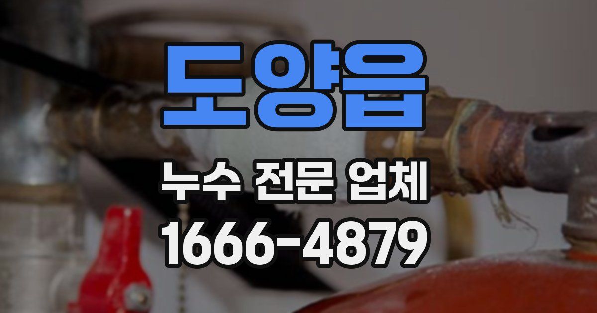 도양읍 누수 전문 업체