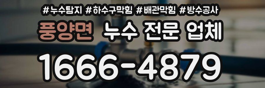 풍양면 누수 전문 업체