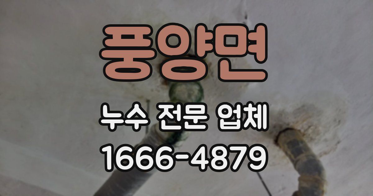 풍양면 누수 전문 업체
