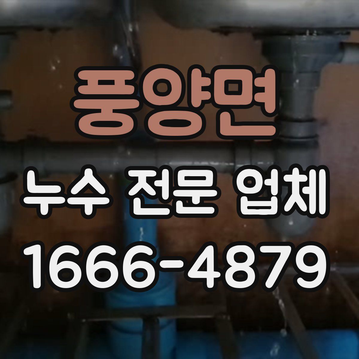풍양면 누수 전문 업체