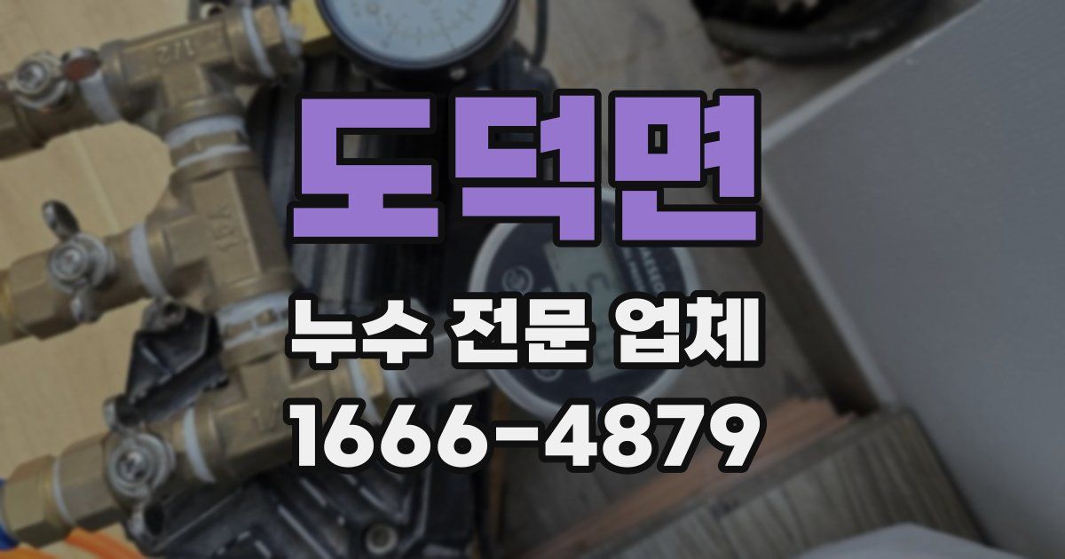 도덕면 누수 전문 업체