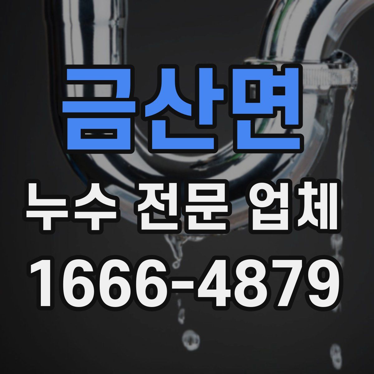 금산면 누수 전문 업체