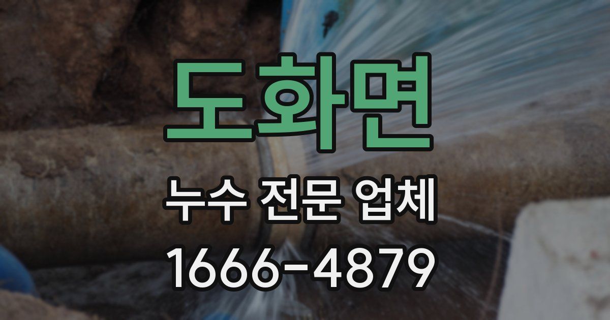 도화면 누수 전문 업체