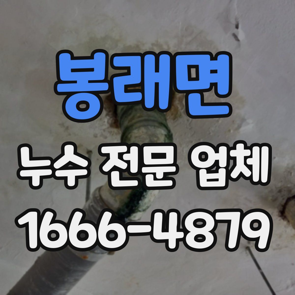 봉래면 누수 전문 업체