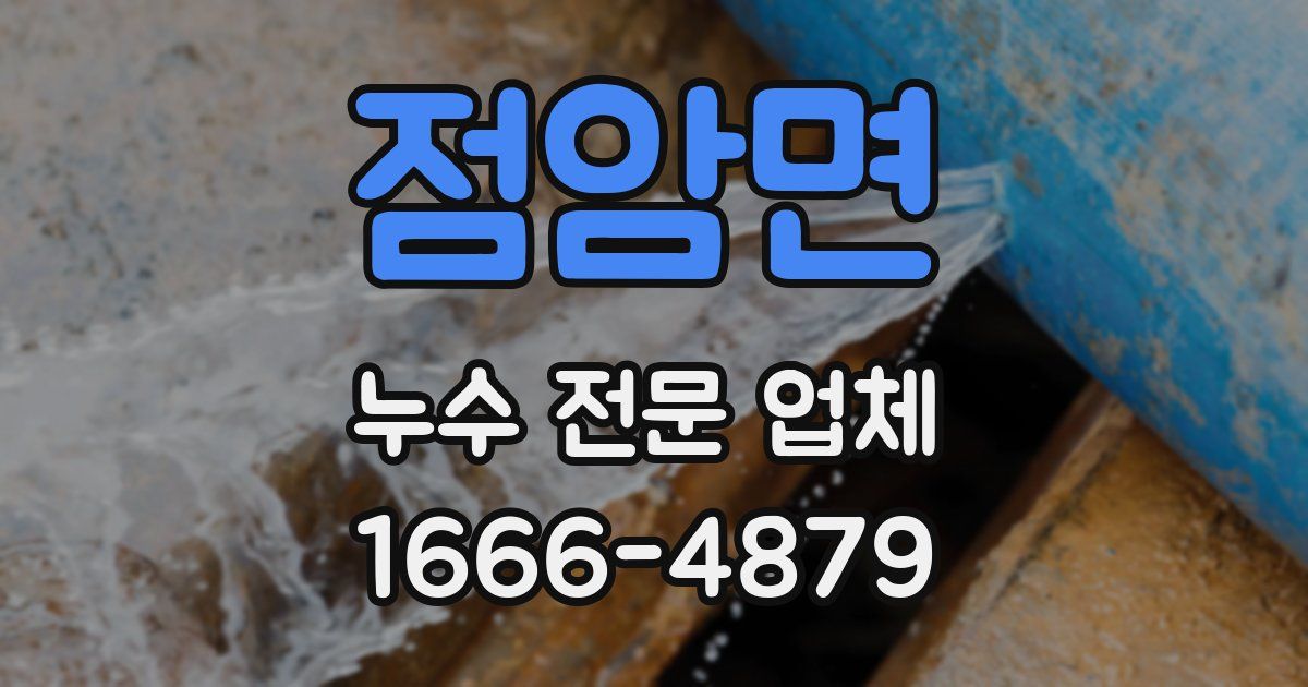 점암면 누수 전문 업체