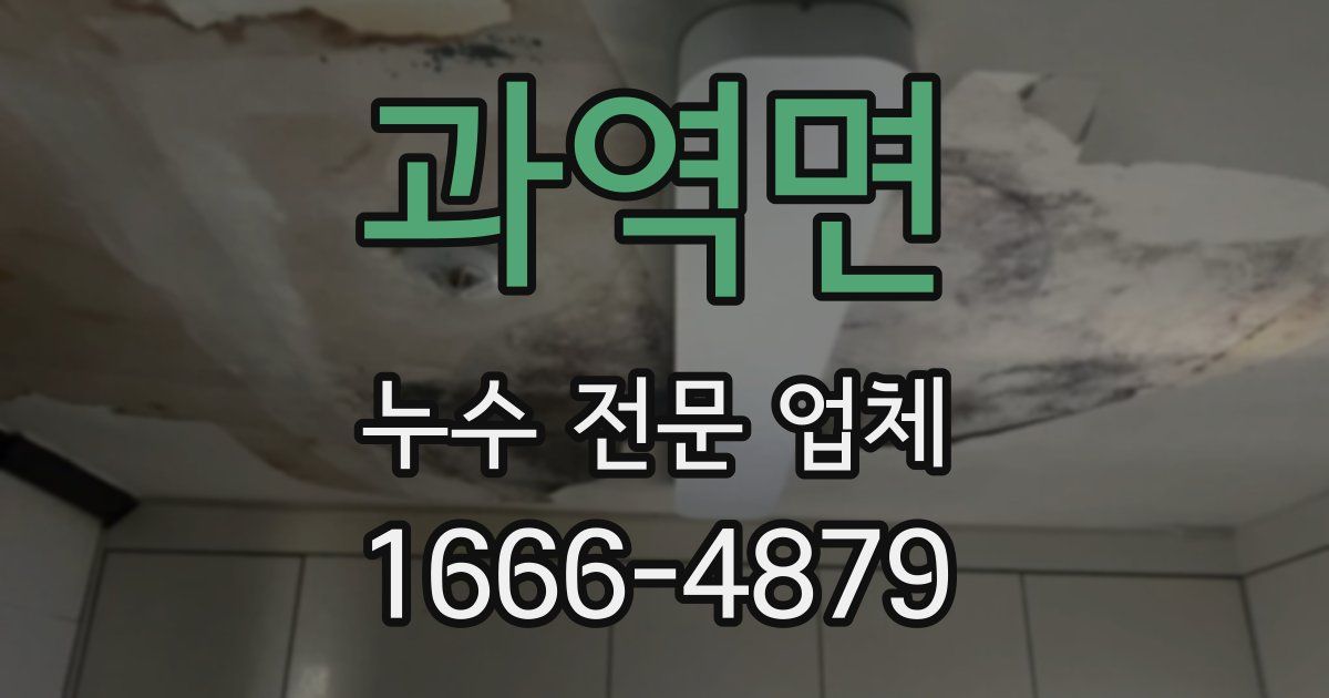과역면 누수 전문 업체
