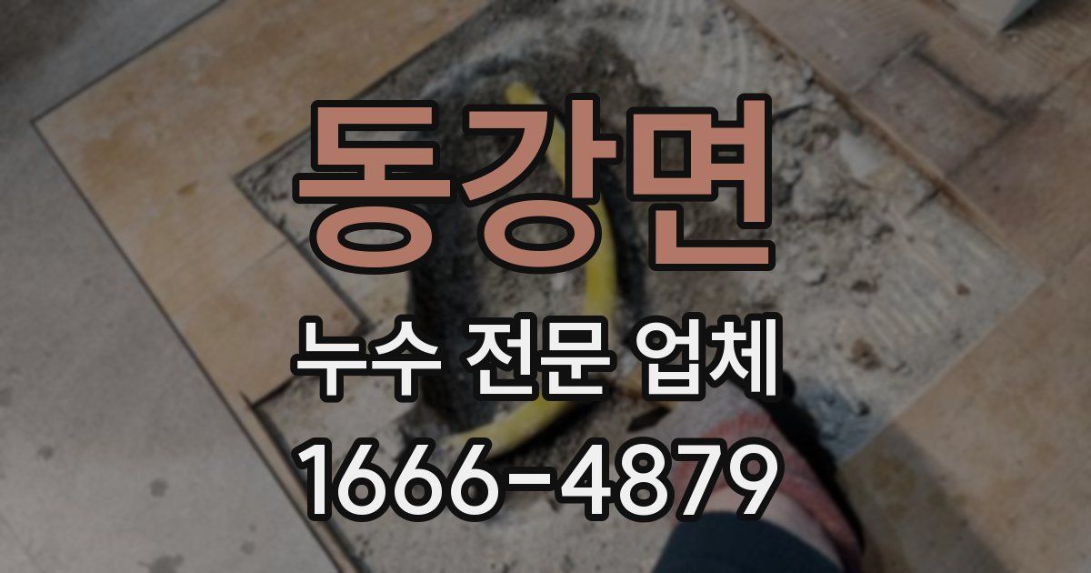 동강면 누수 전문 업체