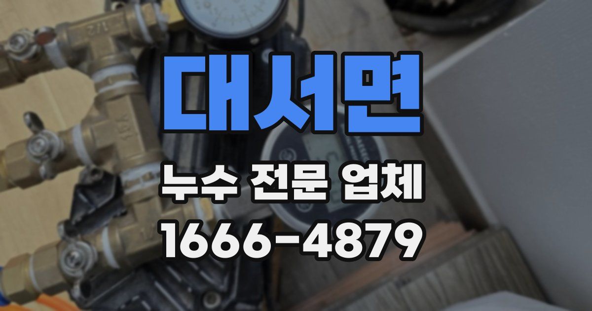 대서면 누수 전문 업체