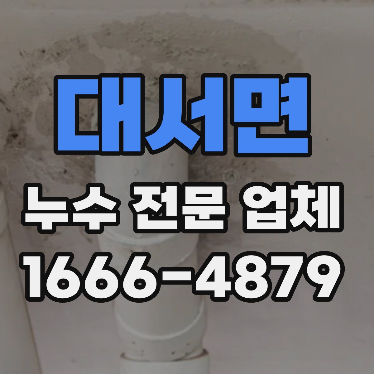 대서면 누수 전문 업체