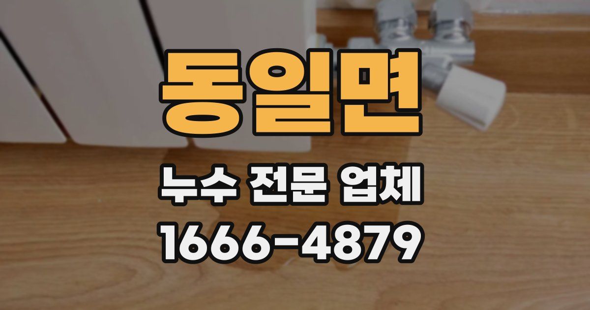 동일면 누수 전문 업체