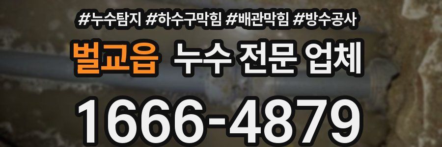 벌교읍 누수 전문 업체