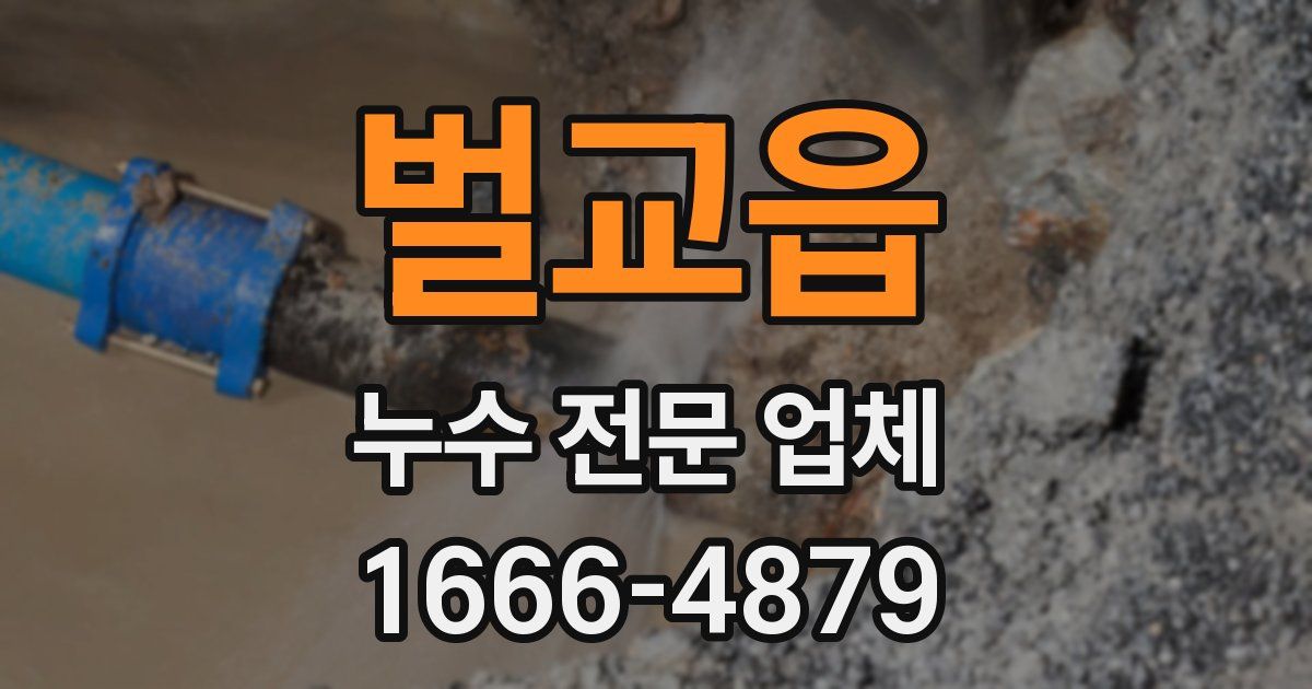 벌교읍 누수 전문 업체