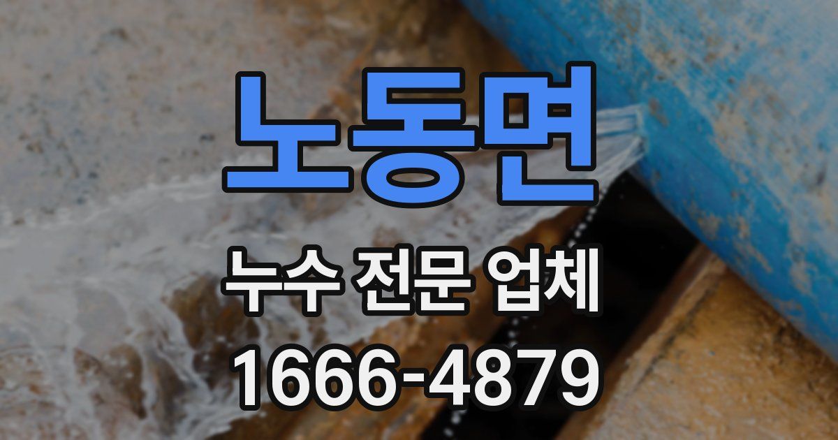 노동면 누수 전문 업체