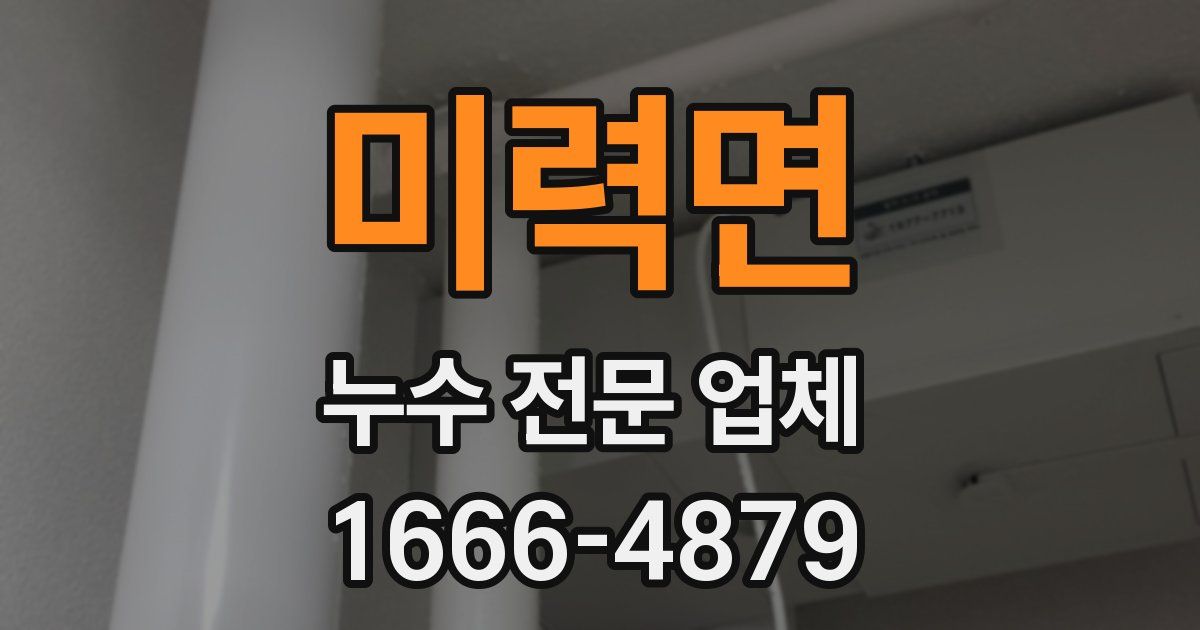 미력면 누수 전문 업체