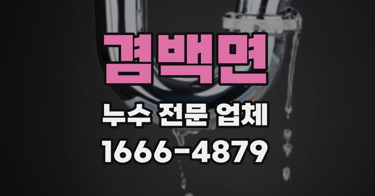겸백면 누수 전문 업체