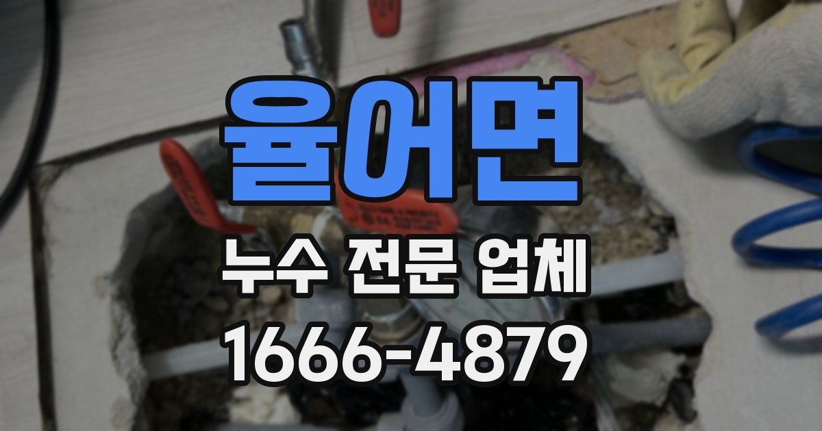 율어면 누수 전문 업체