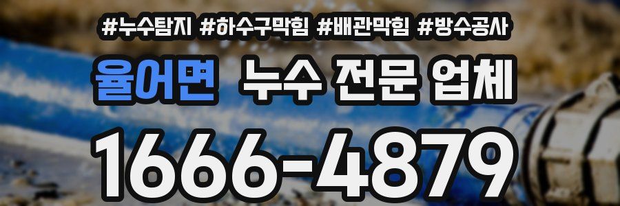 율어면 누수 전문 업체