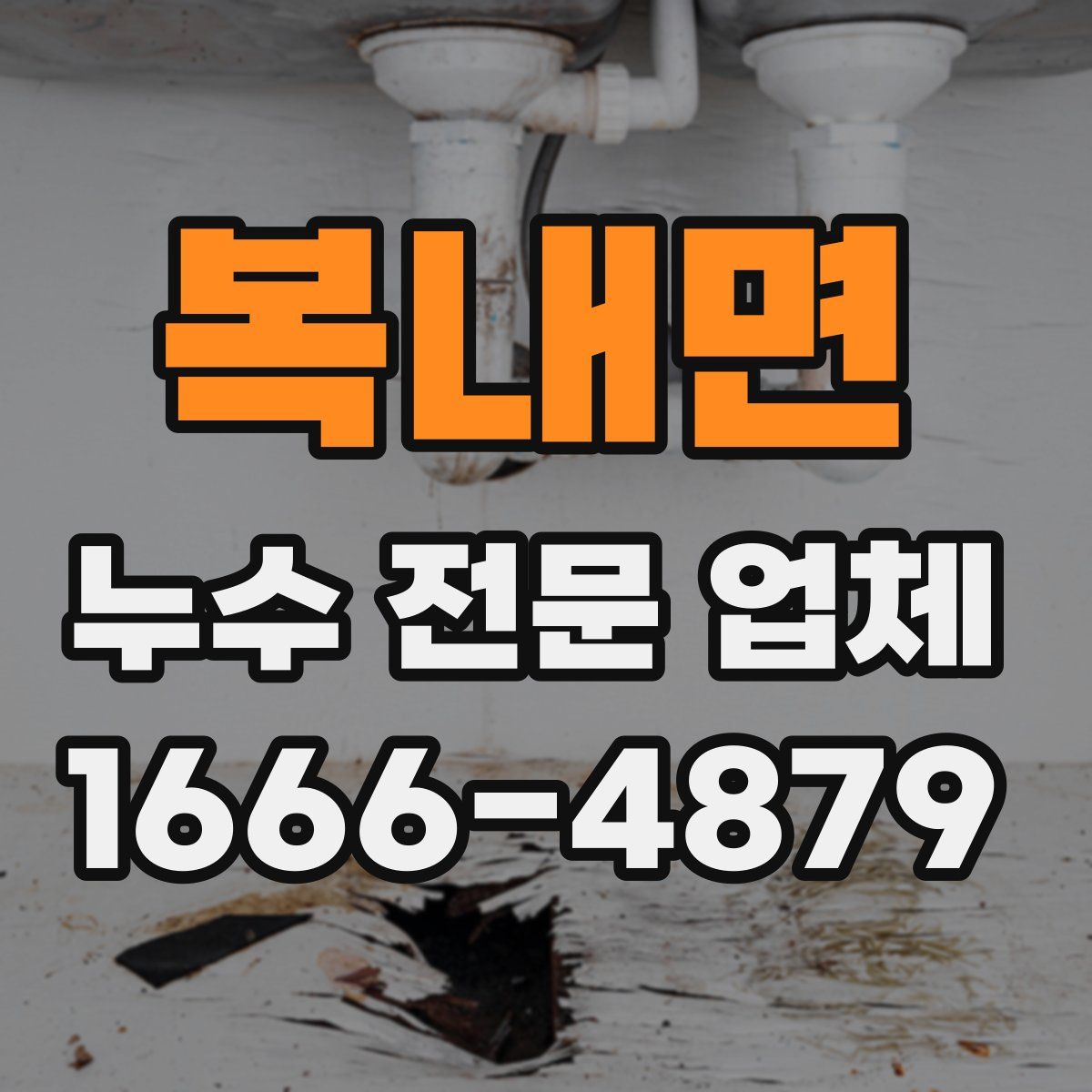 복내면 누수 전문 업체