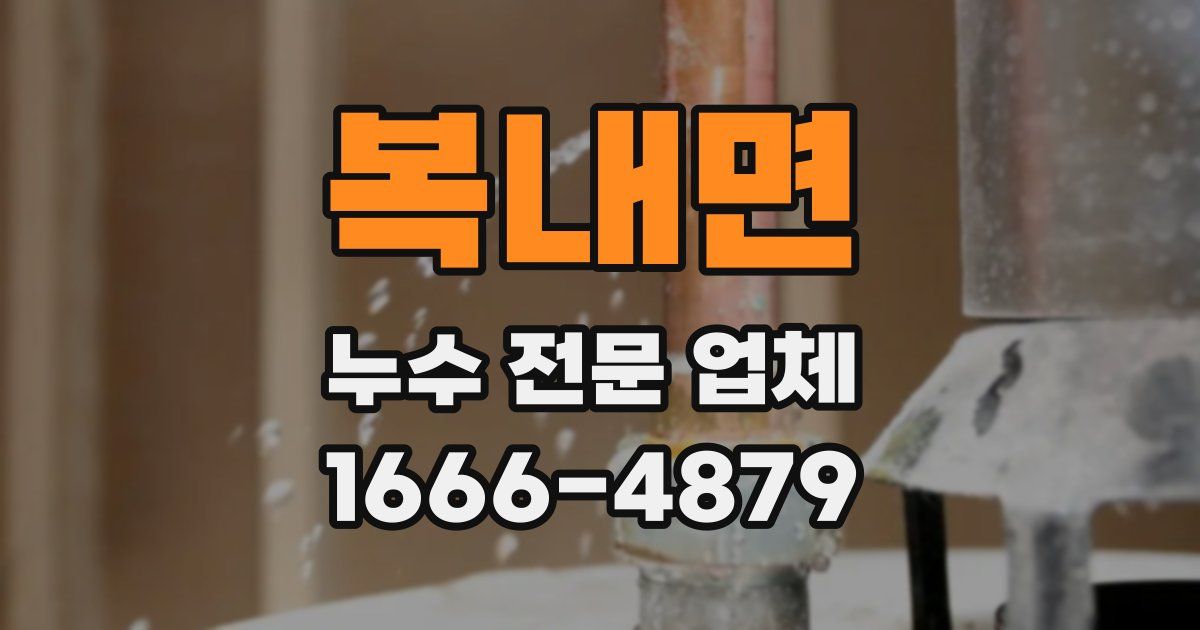 복내면 누수 전문 업체
