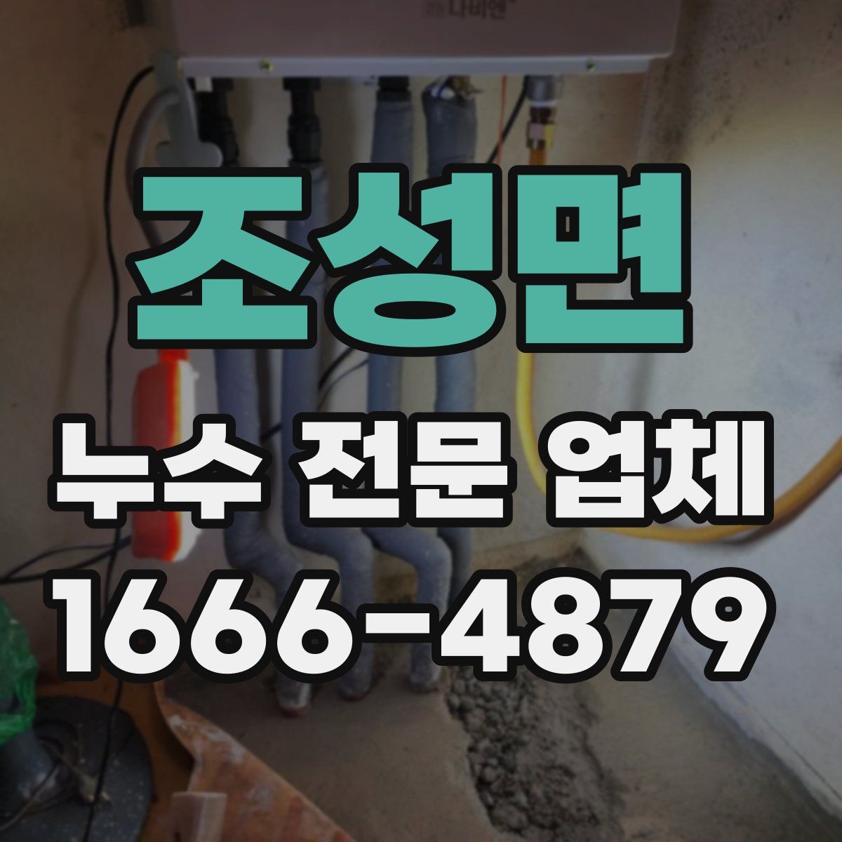 조성면 누수 전문 업체