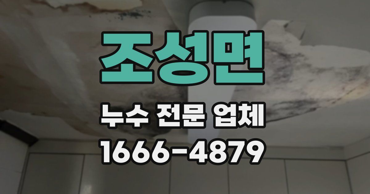조성면 누수 전문 업체