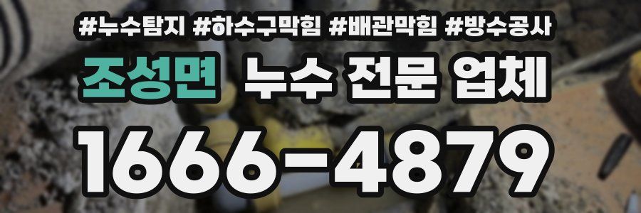 조성면 누수 전문 업체
