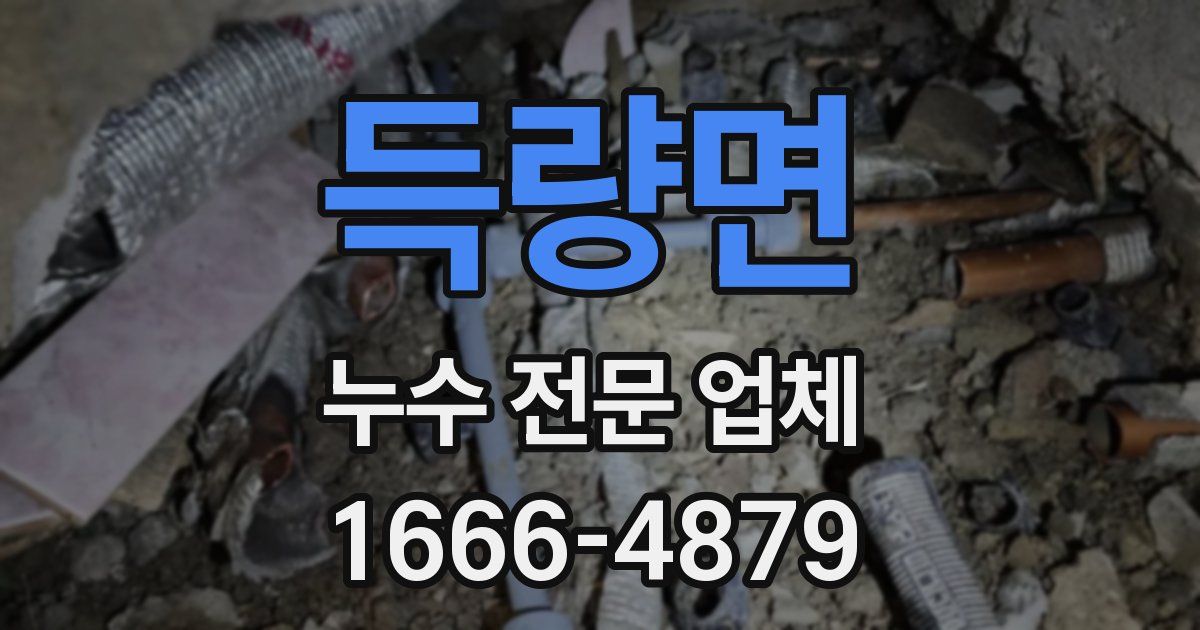 득량면 누수 전문 업체