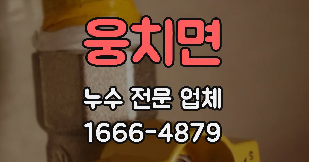 웅치면 누수 전문 업체
