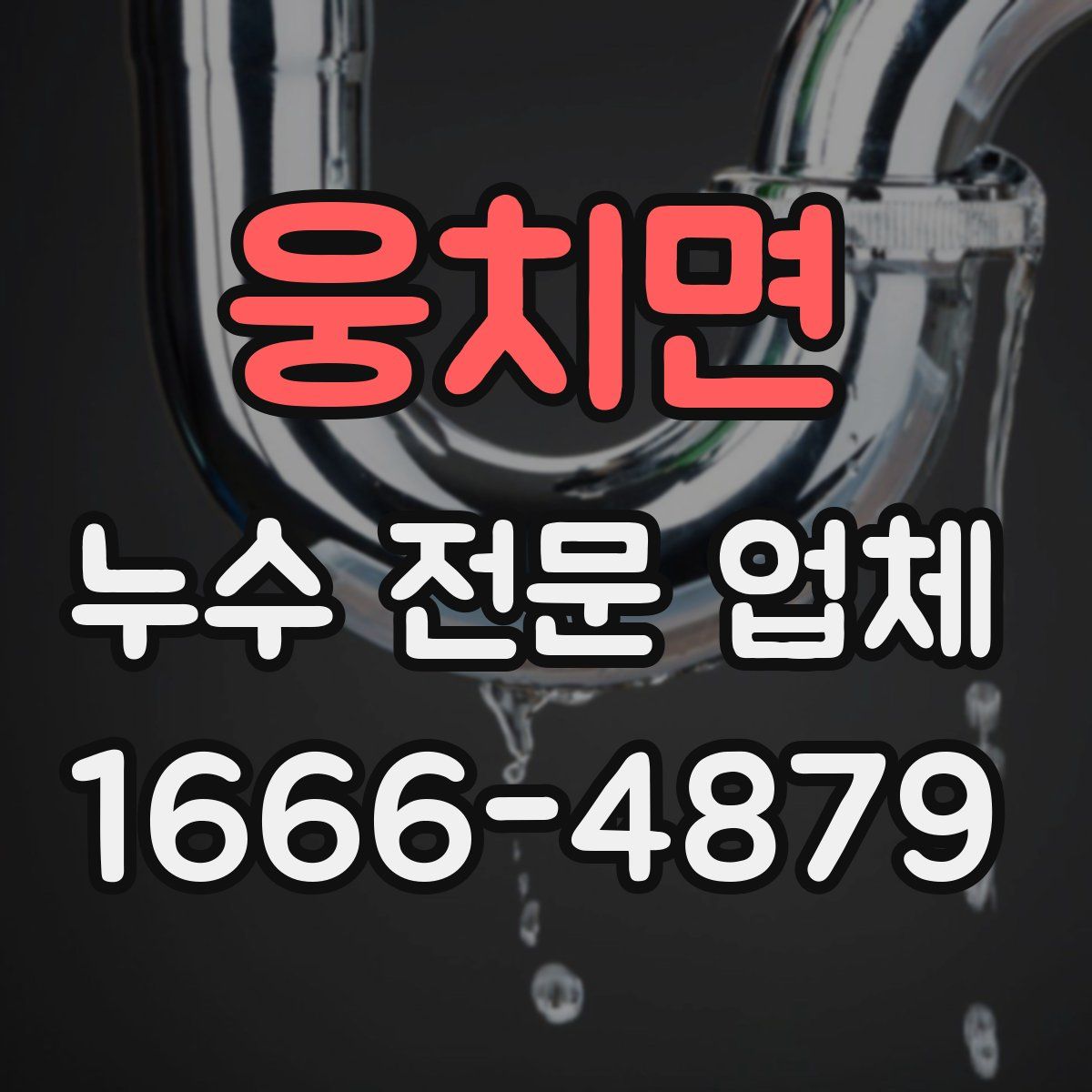 웅치면 누수 전문 업체