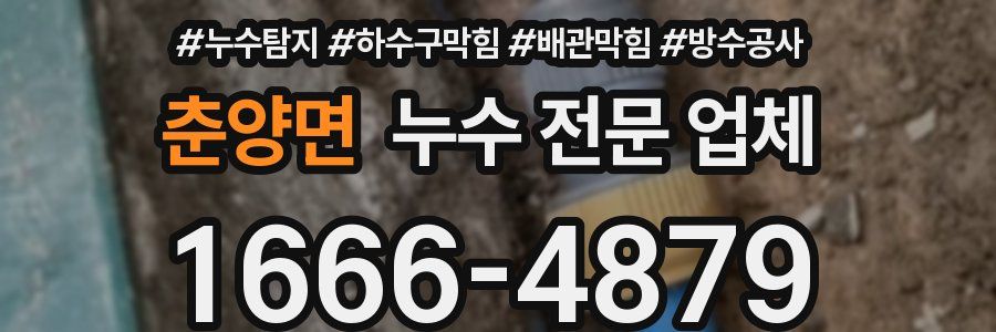 춘양면 누수 전문 업체