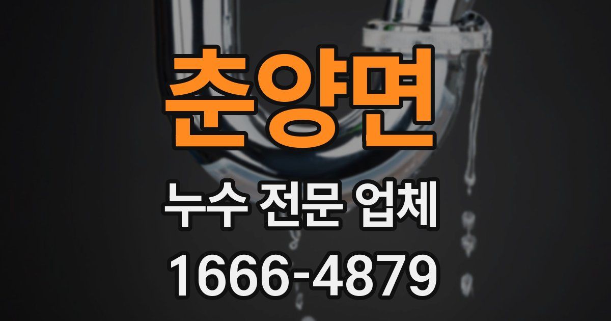 춘양면 누수 전문 업체