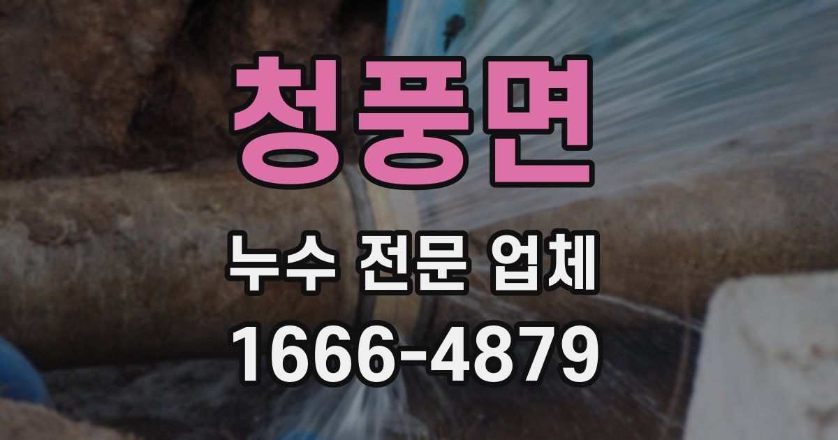 청풍면 누수 전문 업체