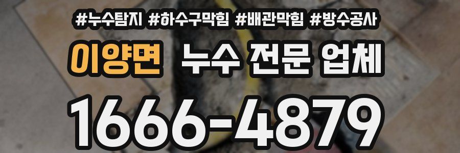 이양면 누수 전문 업체