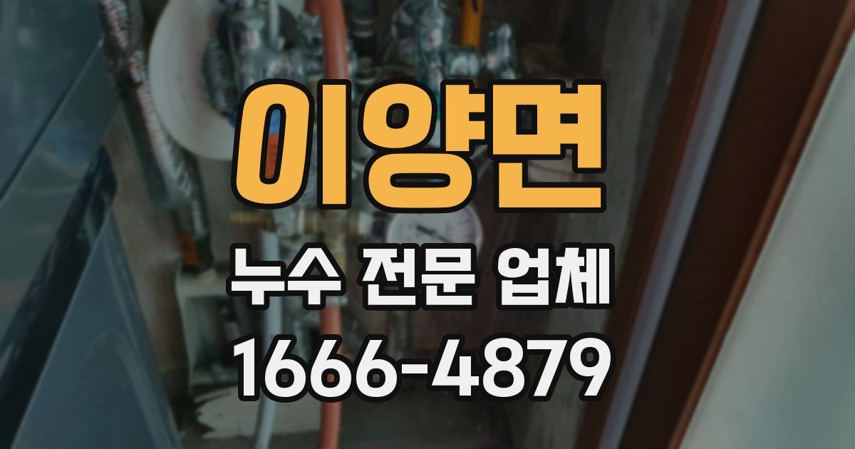 이양면 누수 전문 업체