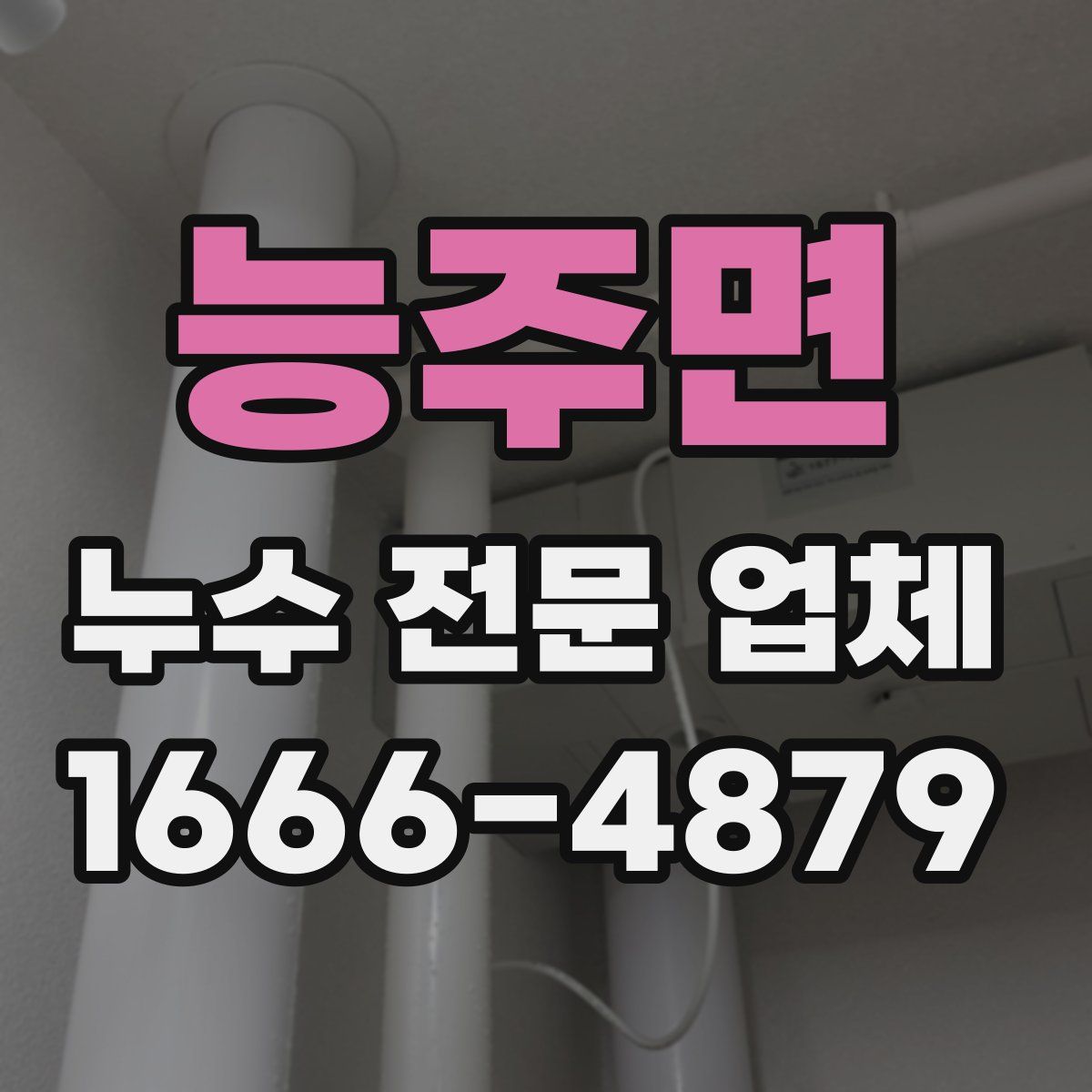 능주면 누수 전문 업체