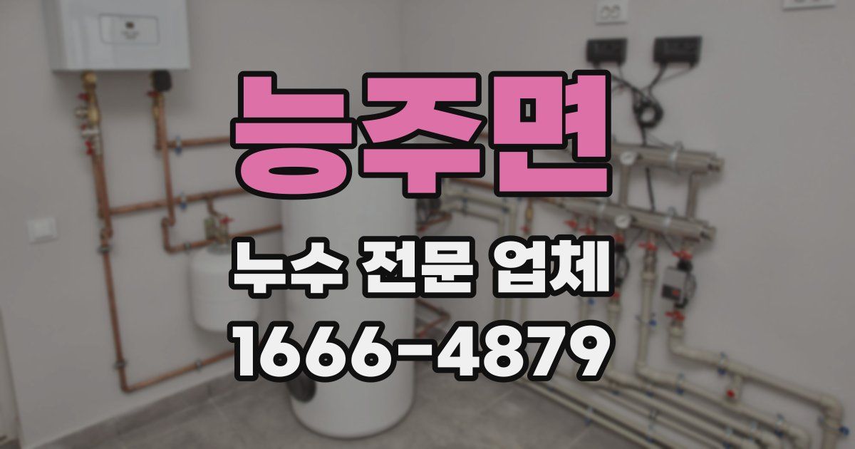 능주면 누수 전문 업체
